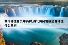 <b>�Ƹ���ֲʲô��ҩ��,�����ƸԵ����ʺ���ֲʲô����</b>