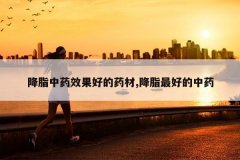 <b>��֬��ҩЧ���õ�ҩ��,��֬��õ���ҩ</b>