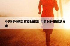 <b>ҩֲ¸·߹滮,ҩֲ滮</b>
