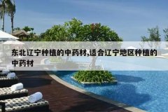 <b>����������ֲ����ҩ��,�ʺ�����������ֲ����ҩ��</b>