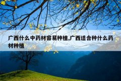 <b>����ʲô��ҩ��������ֲ,�����ʺ���ʲôҩ����ֲ</b>