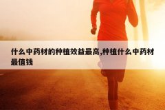 <b>ʲô��ҩ�ĵ���ֲЧ�����,��ֲʲô��ҩ����ֵǮ</b>