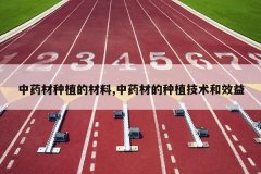 <b>��ҩ����ֲ�Ĳ���,��ҩ�ĵ���ֲ������Ч��</b>