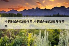 <b>��ҩ��ɣҶ��Ч����,��ҩɣҶ�Ĺ�Ч�����õ�</b>