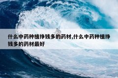 <b>ʲô��ҩ��ֲ��Ǯ���ҩ��,ʲô��ҩ��ֲ��Ǯ���ҩ�����</b>