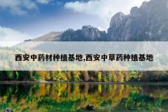 <b>������ҩ����ֲ����,�����в�ҩ��ֲ����</b>