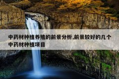 <b>��ҩ����ֲ��ֳ��ǰ������,ǰ���Ϻõļ�����ҩ����ֲ��Ŀ</b>