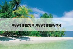 <b>��ҩ����ֲ��ΰ,��ҩ����ֲ�¼���</b>