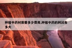 <b>��ֲ��ҩ����Ҫ���ٷ���,��ֲ��ҩ�������ж��</b>