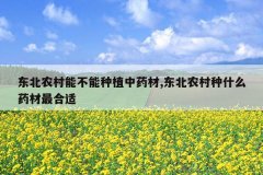 <b>����ũ���ܲ�����ֲ��ҩ��,����ũ����ʲôҩ�������</b>