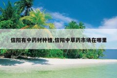 <b>��������ҩ����ֲ,�����в�ҩ�г�������</b>