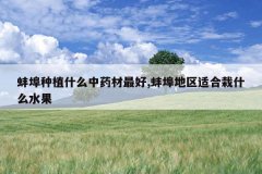 <b>������ֲʲô��ҩ�����,���������ʺ���ʲôˮ��</b>