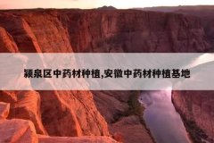 <b>�Ȫ����ҩ����ֲ,������ҩ����ֲ����</b>