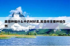 <b>Ӣ����ֲʲô��ҩ�ĺ���,Ӣ������Ҫ��ֲ����</b>