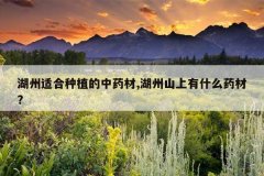 <b>�����ʺ���ֲ����ҩ��,����ɽ����ʲôҩ��?</b>