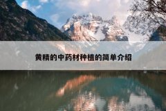 <b>�ƾ�����ҩ����ֲ�ļ򵥽���</b>