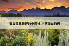 <b>���Ч����õ���ҩ��,��ҽ��׵�ҩ</b>