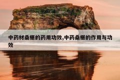 <b>ҩɣ驵ҩùЧ,ҩɣ驵빦Ч</b>
