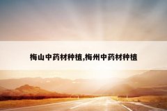 <b>÷ɽ��ҩ����ֲ,÷����ҩ����ֲ</b>