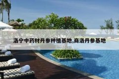 <b>������ҩ�ĵ�����ֲ����,���嵤�λ���</b>