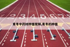 <b>����ҩ����ֲ��Ƶ,�󶬵���ֲ</b>