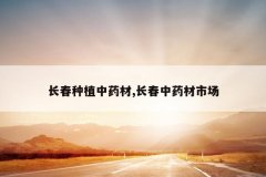 <b>������ֲ��ҩ��,������ҩ���г�</b>