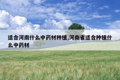 <b>�ʺϺ���ʲô��ҩ����ֲ,����ʡ�ʺ���ֲʲô��ҩ��</b>