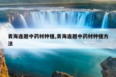 <b>�ຣ������ҩ����ֲ,�ຣ������ҩ����ֲ����</b>