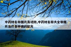 <b>��ҩ������ͼƬ����Ч,��ҩ�����ƴ�ȫ��ͼƬ���Ƹ��ֲ����䷽</b>