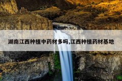 <b>���Ͻ�����ֲ��ҩ�Ķ���,������ֲҩ�Ļ���</b>