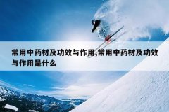 <b>������ҩ�ļ���Ч������,������ҩ�ļ���Ч��������ʲô</b>