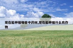 <b>��������ֲ��Щ��ҩ��,��������ֲʲôũ����</b>