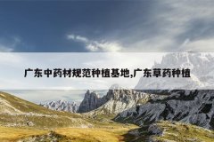 <b>�㶫��ҩ�Ĺ淶��ֲ����,�㶫��ҩ��ֲ</b>