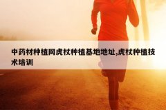 <b>��ҩ����ֲ��������ֲ���ص�ַ,������ֲ������ѵ</b>