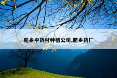 <b>������ҩ����ֲ��˾,����ҩ��</b>