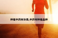 <b>��ֲ��ҩ�ķ���,��ҩ����ֲƷ��</b>