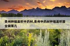 <b>������ֲ�����ҩ��,������ҩ����ֲ�����ȫ���ڼ�</b>