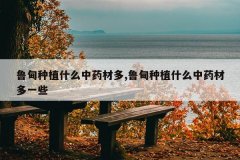 <b>³����ֲʲô��ҩ�Ķ�,³����ֲʲô��ҩ�Ķ�һЩ</b>