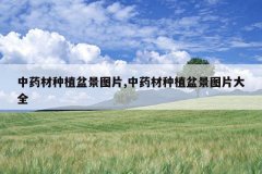 <b>ҩֲ辰ͼƬ,ҩֲ辰ͼƬȫ</b>