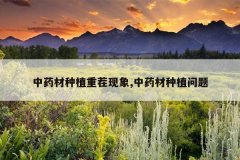 <b>��ҩ����ֲ�ز�����,��ҩ����ֲ����</b>