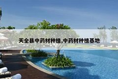 <b>��ȫ����ҩ����ֲ,��ҩ����ֲ����</b>