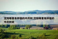 <b>������������ֲ����ҩ��,������������ֲ����ҩ����</b>