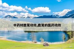 <b>��ҩ��¹�׹�Ч,¹�׵�ҽҩ��Ч</b>