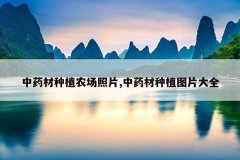 <b>��ҩ����ֲũ����Ƭ,��ҩ����ֲͼƬ��ȫ</b>