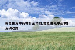 <b>�ƶ���ܸ��ҩ��ʲô��Ч,�ƶ���ܸ��ҩ��ʲô��Ч��</b>