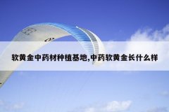 <b>���ƽ���ҩ����ֲ����,��ҩ���ƽ�ʲô��</b>