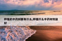 <b>��ֲ����ҩ�Ķ���ʲô,��ֲʲô��ҩ��Ч���</b>