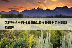 <b>������ֲ��ҩ����׬Ǯ,������ֲ��ҩ����׬Ǯ��Ƶ</b>