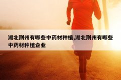 <b>������������Щ��ҩ����ֲ,������������Щ��ҩ����ֲ��ҵ</b>