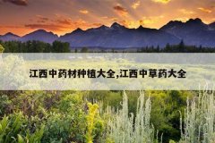 <b>������ҩ����ֲ��ȫ,�����в�ҩ��ȫ</b>